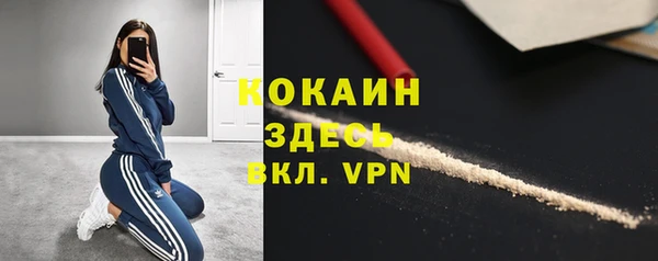 стафф Алексин