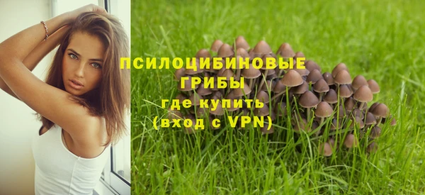 стафф Алексин