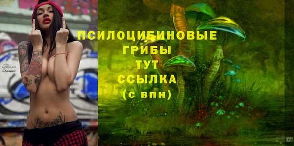 стафф Алексин