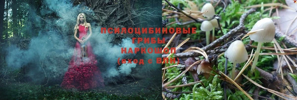 стафф Алексин