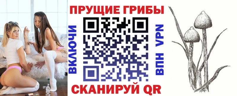 Галлюциногенные грибы Magic Shrooms  OMG ССЫЛКА  Алзамай  продажа наркотиков 